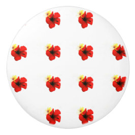 POMO DE CERÁMICA PATRONES DE FLORES ROJOS POPPY