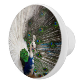 Pomo De Cerámica Pavo real azul blanco
