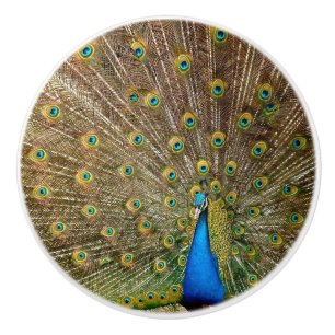 Pomo De Cerámica Peacock Tail Feathers
