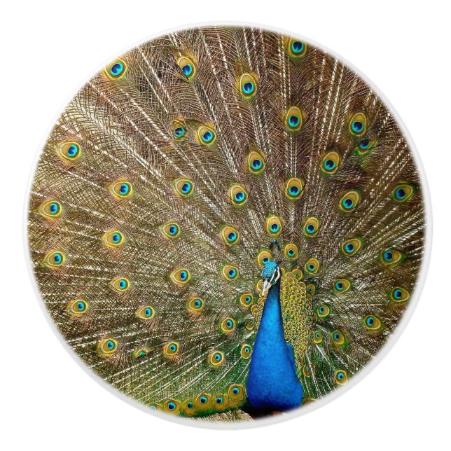 Pomo De Cerámica Peacock Tail Feathers (Anverso)