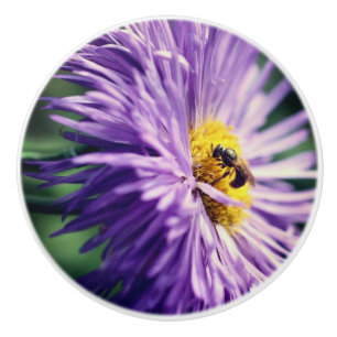 Pomo De Cerámica Pequeña Abeja En La Flor De Daisy Púrpura Se Acerc