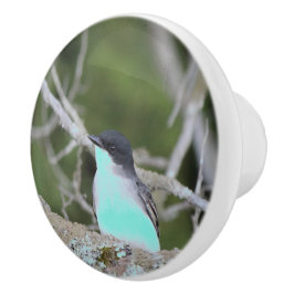 Pomo De Cerámica Pequeña pájaro en azul y verde arrastre de cajón