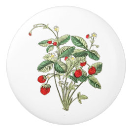 Pomo De Cerámica Perilla de cerámica de fresa silvestre