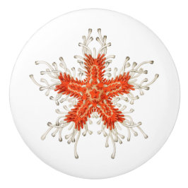 Pomo De Cerámica Perilla de cerámica de pez estrella roja