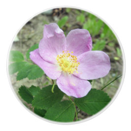 Pomo De Cerámica Perilla de cerámica de rosa rosa silvestre