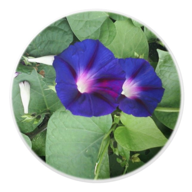 Pomo De Cerámica Perilla de cerámica personalizada con flores (Anverso)