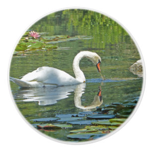 Pomo De Cerámica perillas de cerámica, "SWAN ON LILY POND"