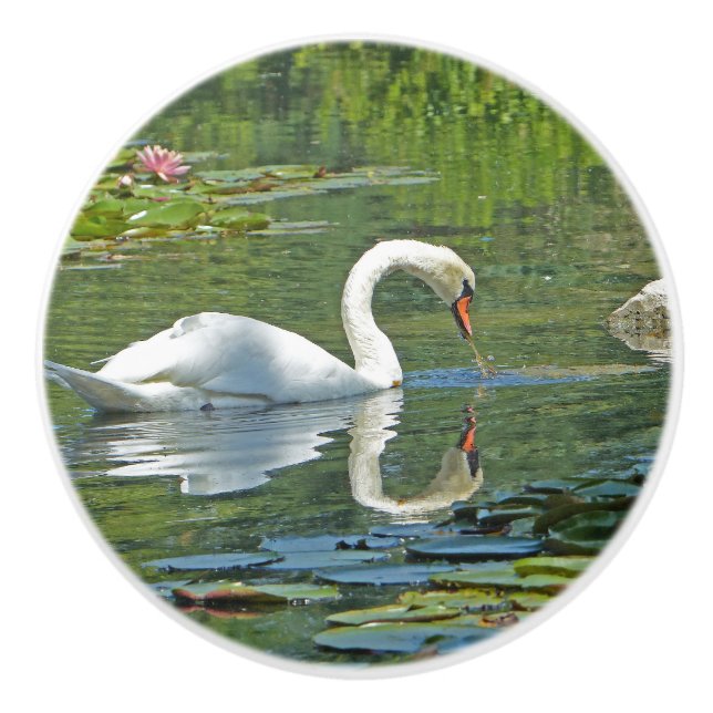 Pomo De Cerámica perillas de cerámica, "SWAN ON LILY POND" (Anverso)