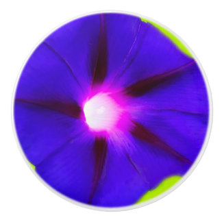 Pomo De Cerámica Perillas Florales Moradas