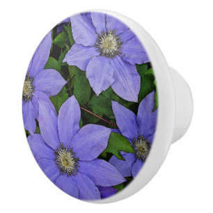 POMO DE CERÁMICA PERIWINKLE BLUE CLEMATIS