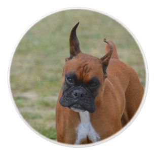 Pomo De Cerámica Perro asombroso del boxeador