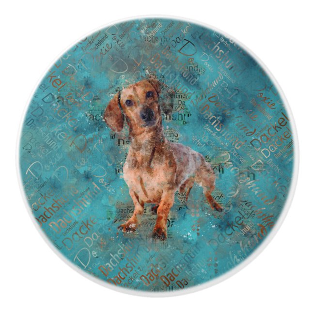 Pomo De Cerámica Perro Dachshund Arte mixto de medios (Anverso)