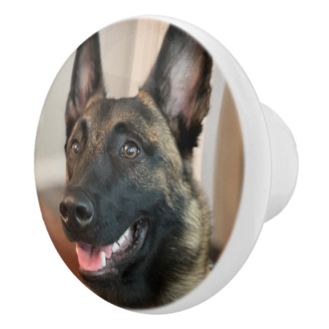Pomo De Cerámica Perro de Malinois (Derecha)