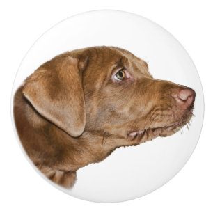 Pomo De Cerámica Perro del labrador retriever, personalizable