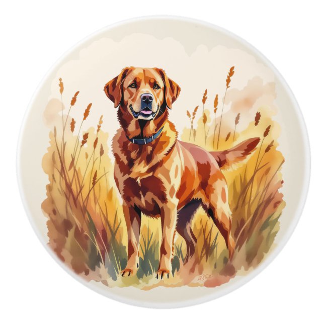 Pomo De Cerámica Perro Labrador Retriever Fox Rojo (Anverso)