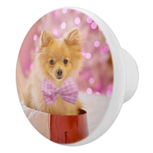 Pomo De Cerámica Perro lindo con Navidades de vaca rosa fotografía