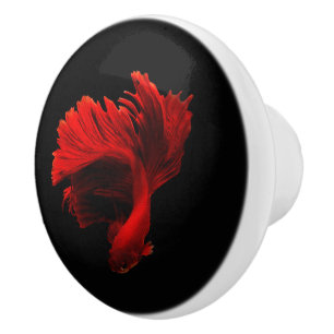 Pomo De Cerámica Pescado rojo ruby de combate siamés
