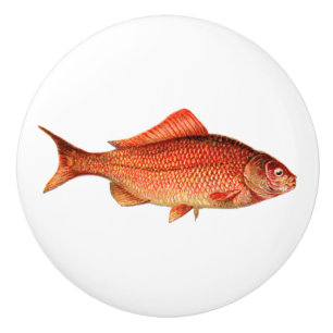 Pomo De Cerámica Pescados/goldfish del oro del vintage
