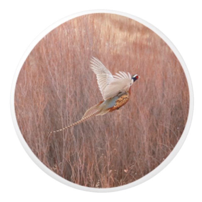 Pomo De Cerámica Pheasant Personalizado de anillo Knob cerámico (Anverso)