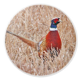 Pomo De Cerámica Pheasant Personalizado de anillo Knob cerámico