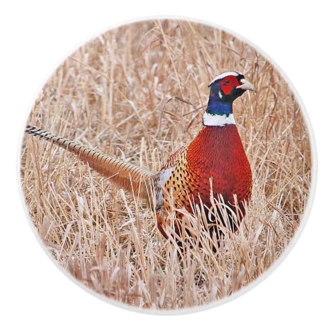Pomo De Cerámica Pheasant Personalizado de anillo Knob cerámico (Anverso)