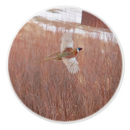 Pomo De Cerámica Pheasant Personalizado de anillo Knob cerámico