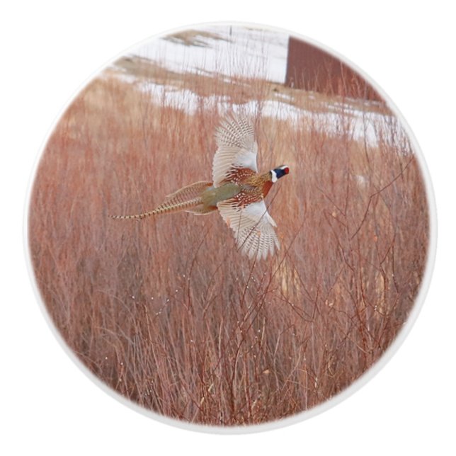 Pomo De Cerámica Pheasant Personalizado de anillo Knob cerámico (Anverso)