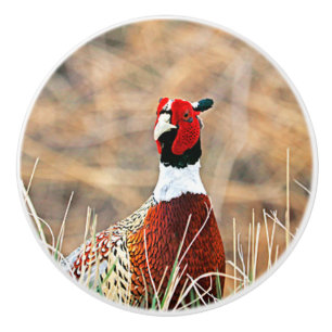 Pomo De Cerámica Pheasant Personalizado de anillo Knob cerámico