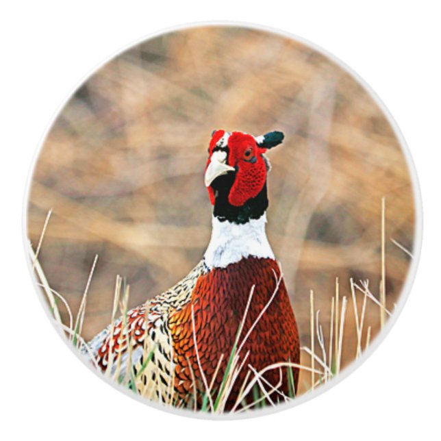 Pomo De Cerámica Pheasant Personalizado de anillo Knob cerámico (Anverso)