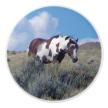 Picasso debajo de un cielo azul