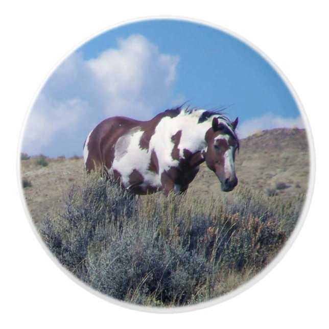 Pomo De Cerámica Picasso debajo de un cielo azul (Anverso)