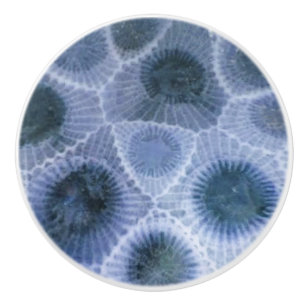Pomo De Cerámica Piedra Petoskey gris azul