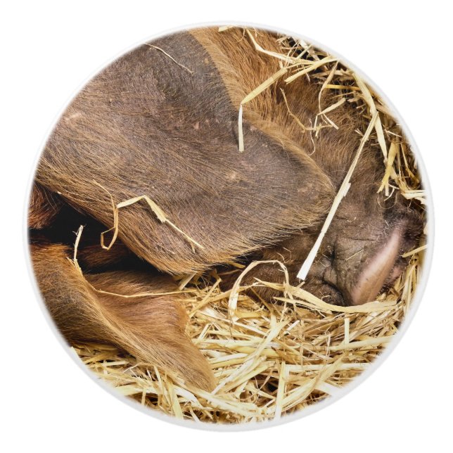 POMO DE CERÁMICA PIGS (Anverso)