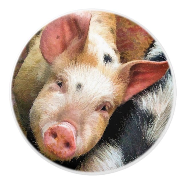 POMO DE CERÁMICA PIGS (Anverso)