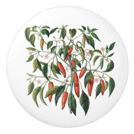 Pomo De Cerámica Pimentón redondo botánico Red Chili
