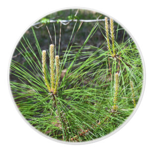 Pomo De Cerámica Pine Needles por Kenneth Yoncich