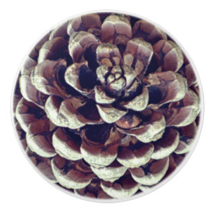 Pomo De Cerámica Pinecone