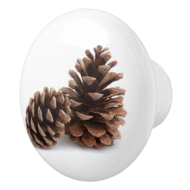 Pomo De Cerámica Pinecones (Derecha)