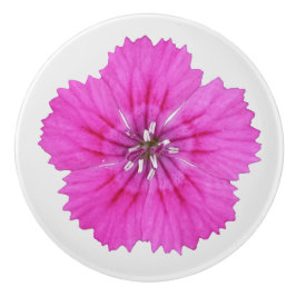 Pomo De Cerámica Pink Dianthus