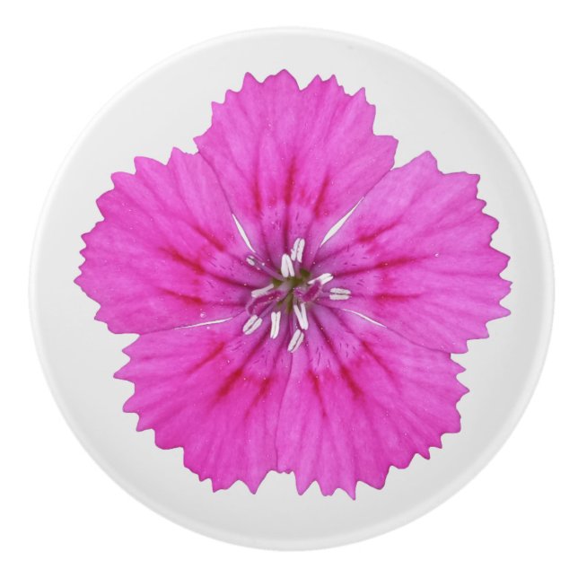 Pomo De Cerámica Pink Dianthus (Anverso)