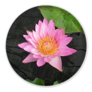 Pomo De Cerámica Pink Lotus Waterlily Ceramic Knob