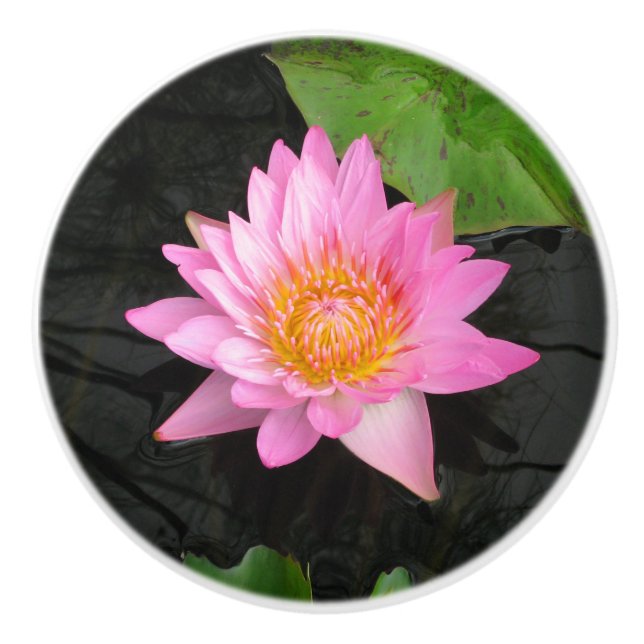 Pomo De Cerámica Pink Lotus Waterlily Ceramic Knob (Anverso)