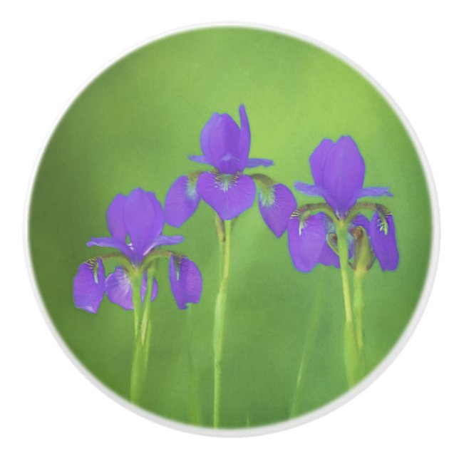 Pomo De Cerámica Pintura de iris morado - Arte de flores original (Anverso)
