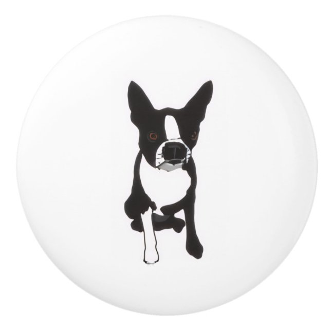 Pomo De Cerámica Piper Drawer Pulls (Anverso)