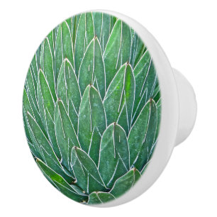 POMO DE CERÁMICA PLANTA DE CONOCIMIENTO/AGAVE CERAMICA