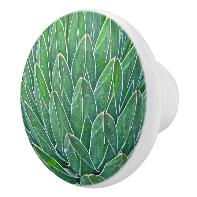 POMO DE CERÁMICA PLANTA DE CONOCIMIENTO/AGAVE CERAMICA (Derecha)