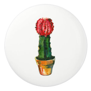 Pomo De Cerámica Planta Verde Rojo Cactus Boho Rústico Suroeste