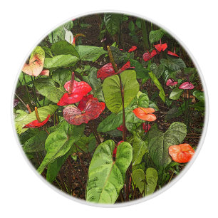 POMO DE CERÁMICA "PLANTAS TROPICALES DE ANTURIO" CERA CERAMICA DE P