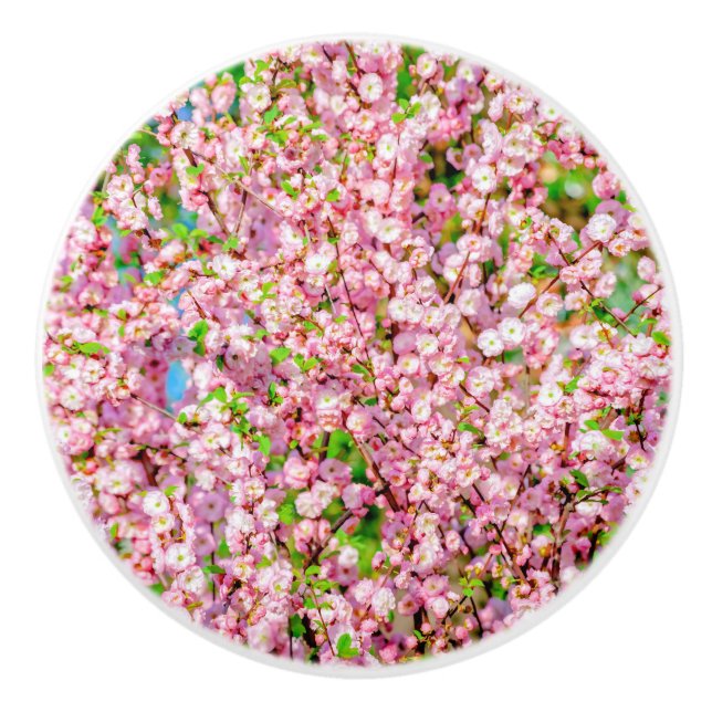 Pomo De Cerámica Pluma florida (Anverso)