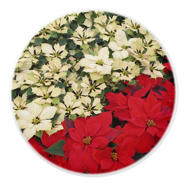 Pomo De Cerámica Poinsettias blancas y rojas con flores (Anverso)